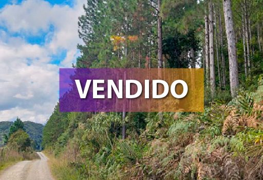 Foto Terreno em Rio do Campo - vendido