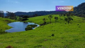 Oportunidade Gelände Vendida