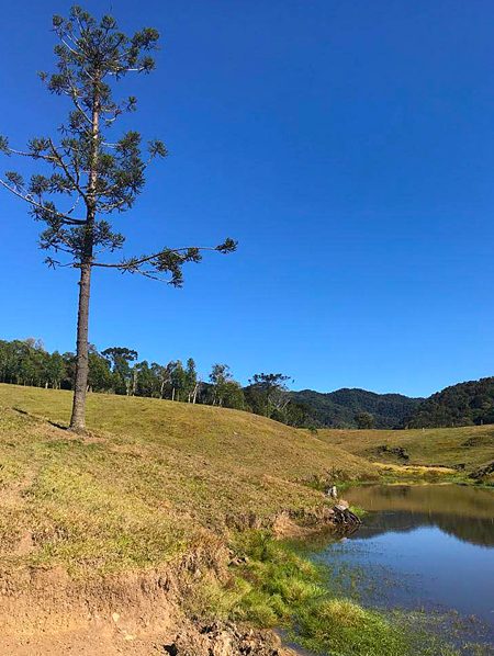 Fazenda Valena - Rio do Campo/SC