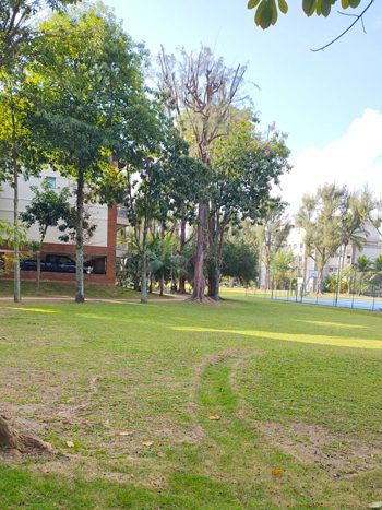 Apartamento-no-Condomínio-Jardim-Europa_03