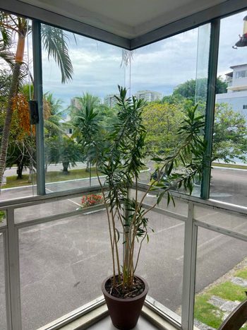 Apartamento-no-Condomínio-Jardim-Europa_20